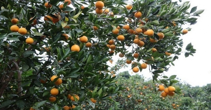 news_tab/morakabat-ghaemshahr.jpg
