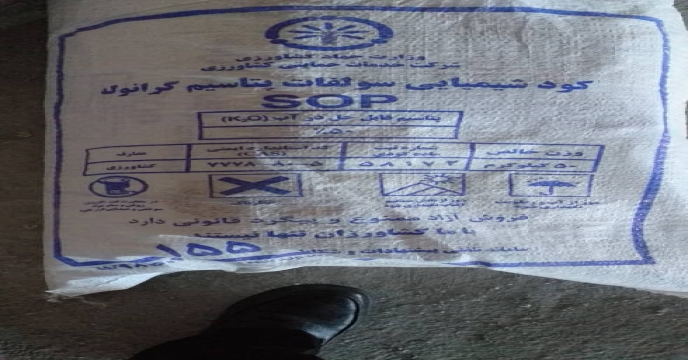 نمونه برداری
