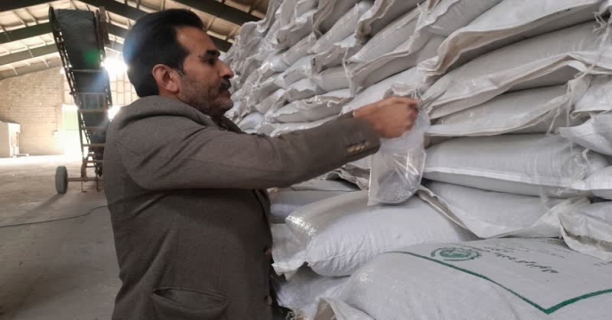 نمونه برداری ازکود سوپر فسفات ساده در مجتمع انبارهای کود شهید شاملو استان مرکزی - آذر ماه سال ۱۴۰۴