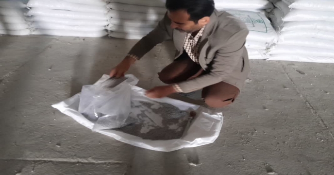 نمونه برداری ازکود سوپر فسفات ساده در مجتمع انبارهای کود شهید شاملو استان مرکزی - آذر ماه سال ۱۴۰۴