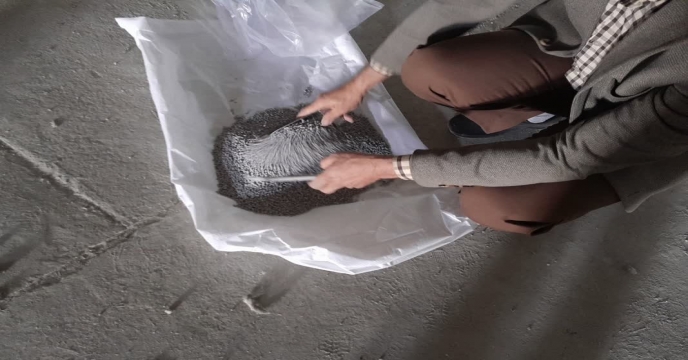 نمونه برداری ازکود سوپر فسفات ساده در مجتمع انبارهای کود شهید شاملو استان مرکزی - آذر ماه سال ۱۴۰۴