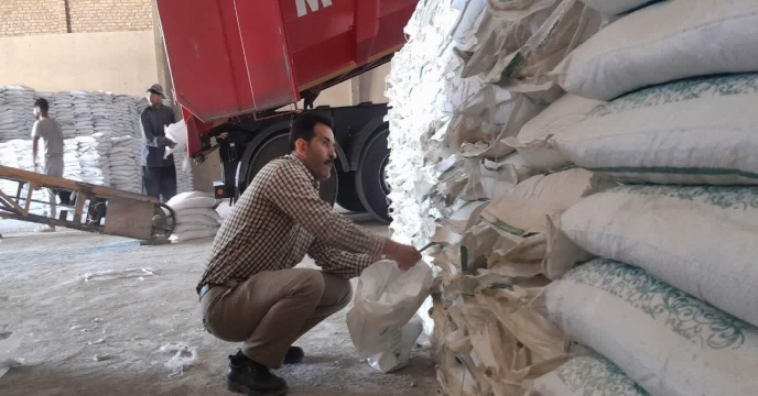 نمونه بردای مجدد از کود سولفات پتاسیم پودری تولید داخلی . انبارهای استان مرکزی