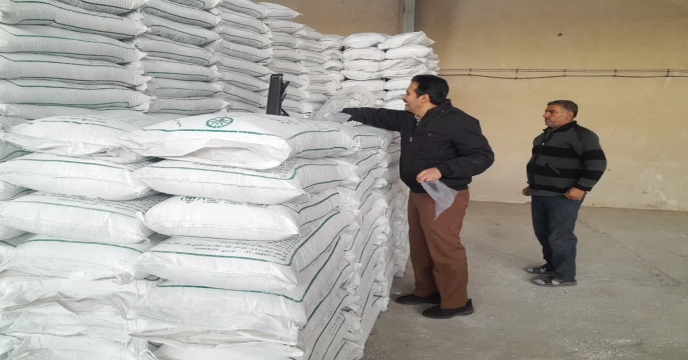 نمونه برداری ازکود سوپر فسفات ساده گرانوله ارسالی از ارکان شیمی جنوب در انبار سازمانی کود شهید شاملو استان مرکزی