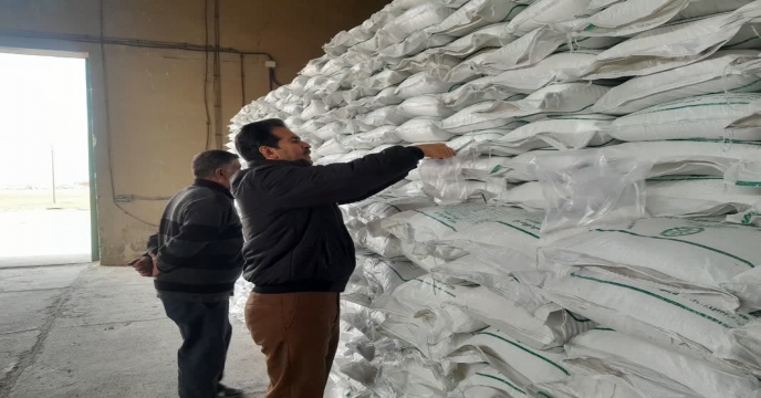 نمونه برداری ازکود سوپر فسفات ساده گرانوله ارسالی از ارکان شیمی جنوب در انبار سازمانی کود شهید شاملو استان مرکزی