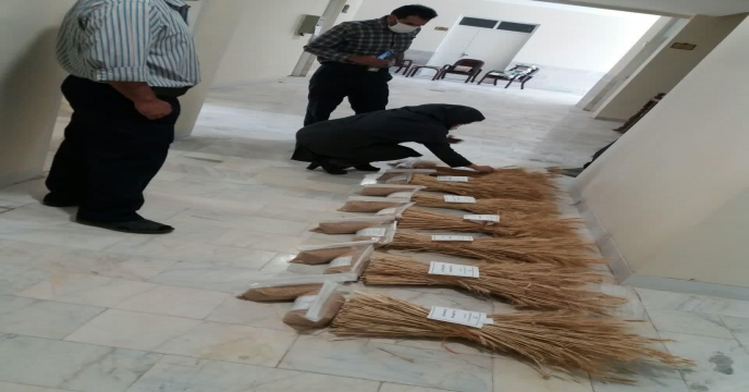 ارسال نمونه بذر از مزرعه نمایشی پایلوت تغذیه گندم به مرکز تحقیقات کاربردی نهاده های کشاورزی کرج - تیرماه سال 1399 استان مرکزی