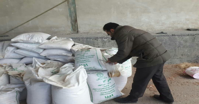 عملیات نمونه برداری از ضایعات حاصله از بوجاری (گندم وجو) جهت تعیین قیمت مزایده فروش استان مرکزی دیماه سال 98