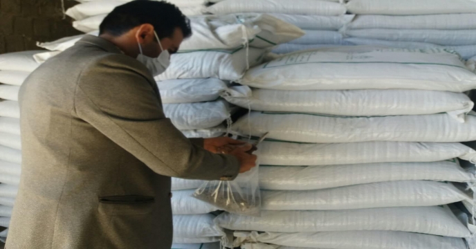 عملیات نمونه برداري از کودسولفات پتاسیم پودری استان مرکزی