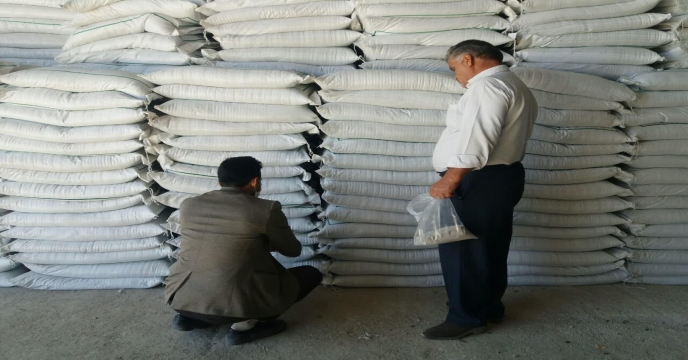 عملیات نمونه برداري از کودسولفات پتاسیم پودری استان مرکزی