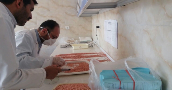 نمونه برداری از کودهای فله و کیسه ارسالی از مبادی به انبارهای کارگزاران کود و انبارهای سازمانی استان مرکزی از ابتدای سال 1398 تا کنون .