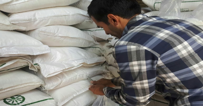 عملیات نمونه برداری از کودهای اوره ارسالی به انبارهای سازمانی - مرداد ماه 1399 استان مرکزی