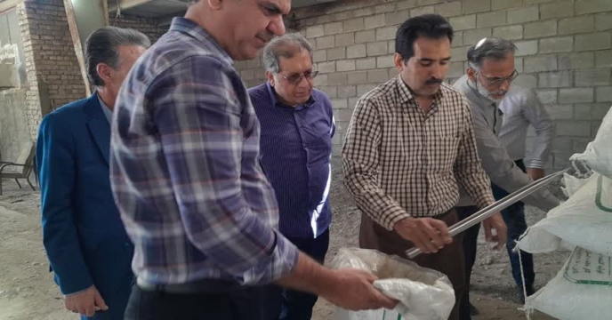نمونه برداری از کود سولفات پتاسیم گرانوله با حضور دکتر قائمی و مدیریت در انبار سازمانی استان مرکزی 