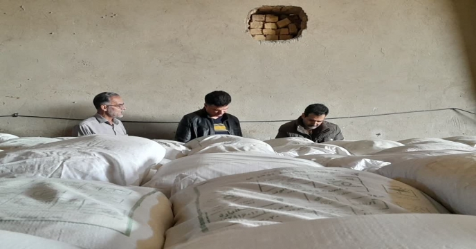 نمونه برداری از کود سولفات پتاسیم پودری در مجتمع انبارهای کود شهید شاملو ، استان مرکزی