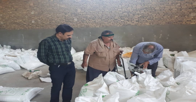 نظارت بر کیسه گیری کود فله اوره در انبارهای کارگزاران تحت پوشش توسط همکاران واحد بازرگانی کود استان مرکزی . خرداد ماه 1399