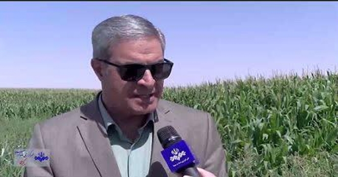 برگزاری جلسه الگوی کشت در سازمان جهاد کشاورزی استان مرکزی با حضور نماینده شرکت خدمات حمایتی کشاورزی