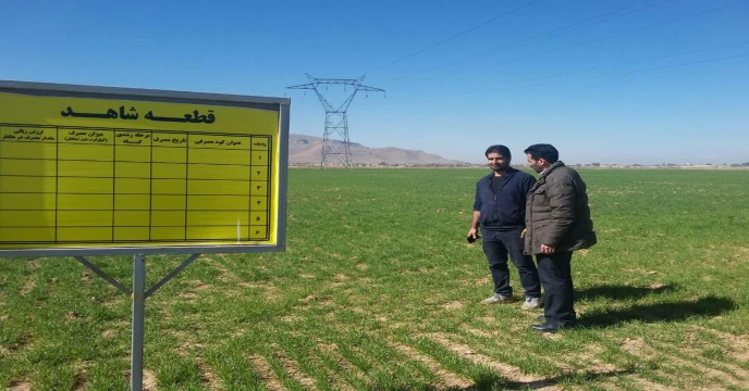 بازدید از مزرعه نمایشی پایلوت گندم کشاورز آقای فراهانی در اسفند ماه 1398
