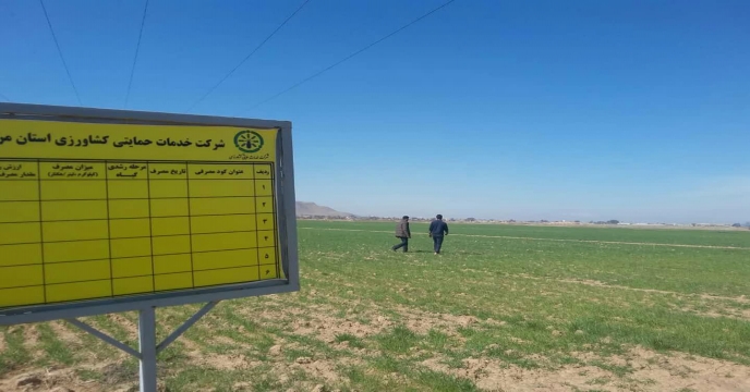 بازدید از مزرعه نمایشی پایلوت گندم کشاورز آقای فراهانی در اسفند ماه 1398