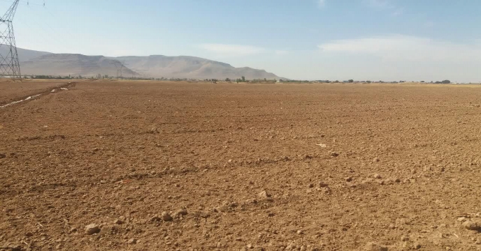 اجرای طرح پایلوت تغذیه ای گندم در مزرعه انتخاب شده کشاورز پیشرو آقای محمد رضا فراهانی از کشاورزان روستای ابراهیم آباد حومه اراک . استان مرکزی