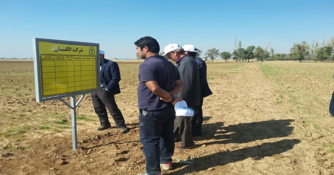 بازدید از سطح سبز مزرعه نمایشی گندم پایلوت