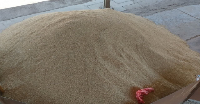 تصاویر