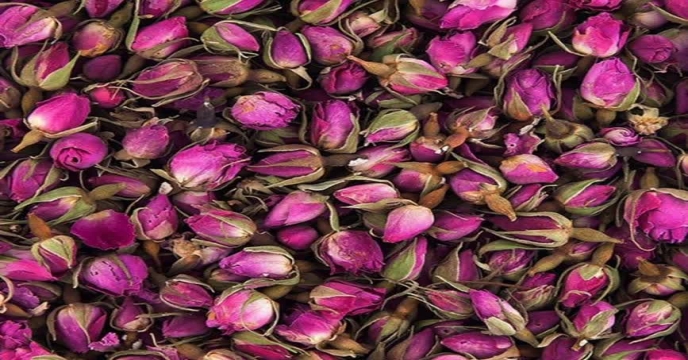جشنواره گل محمدی