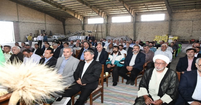 شکرگزاری
