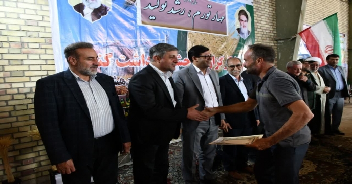 شکرگزاری