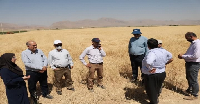 بازدید