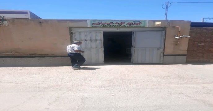 بازدید