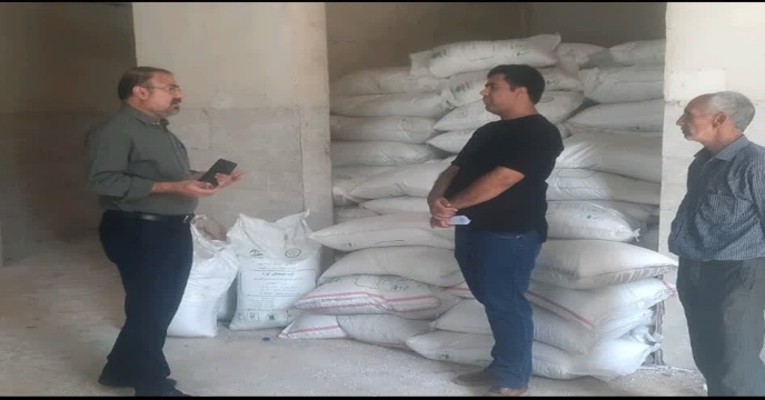 بازدید