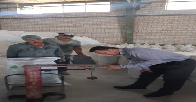 بازدید