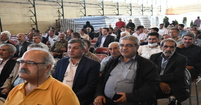 پسته