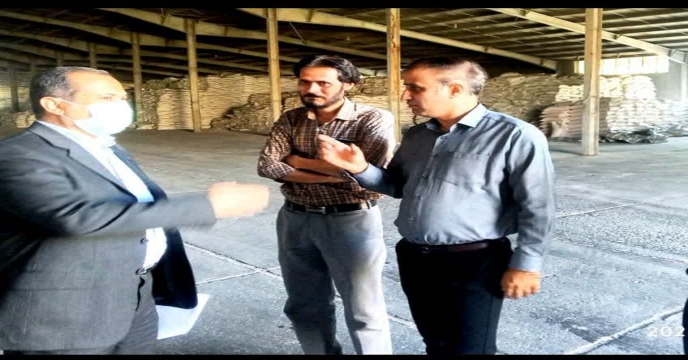 بازدید