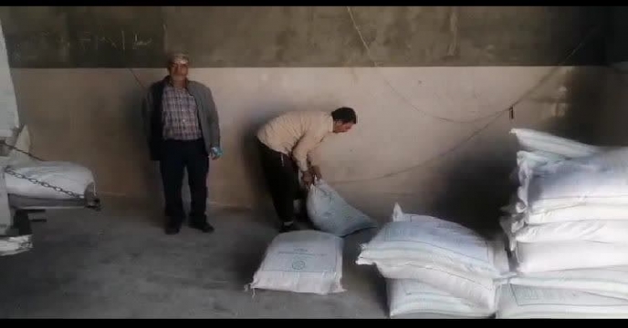 بازدید و پایش 
