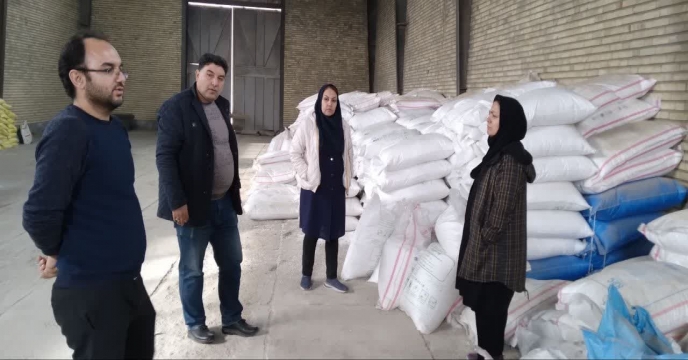 بازدید