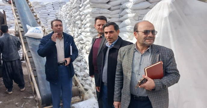 بازدید