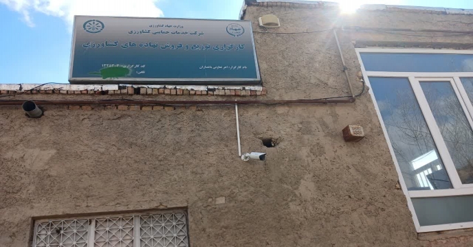 بازدید