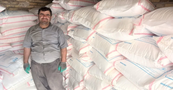 بازدید