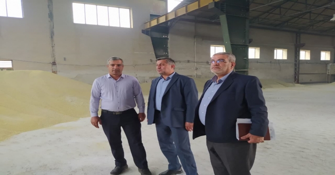 بازدید