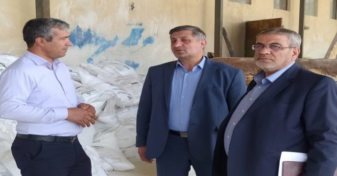 بازدید