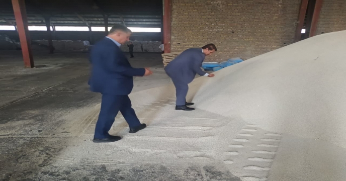 بازدید