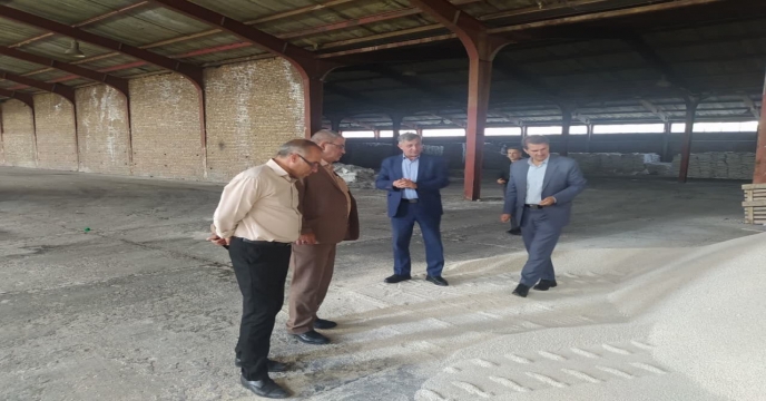 بازدید