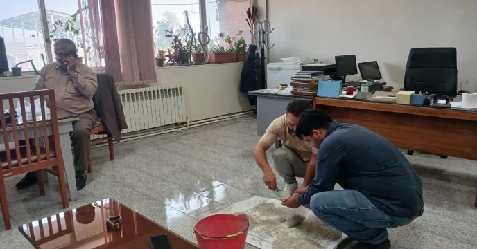 سولفات