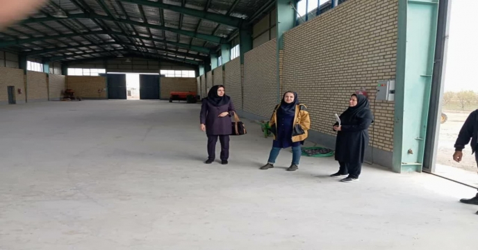 تبریز