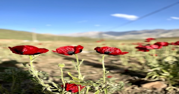 برگزاری پیاده روی به مناسبت هفته جهاد کشاورزی