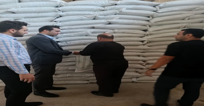 عملیات نمونه برداری از کود سوپر فسفات تریپل ارسالی از مجتمع شیمیایی آبیک