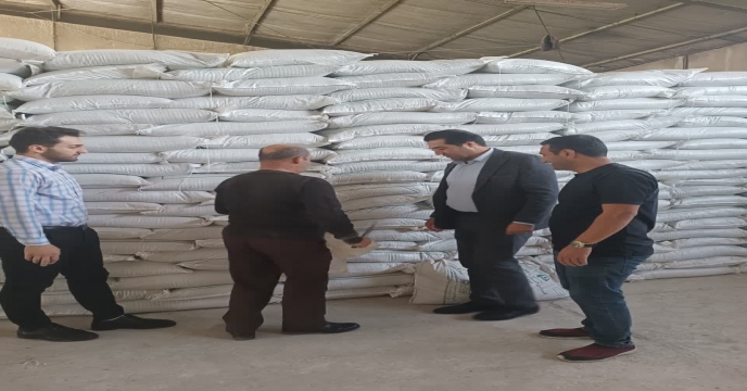 عملیات نمونه برداری از کود سوپر فسفات تریپل ارسالی از مجتمع شیمیایی آبیک