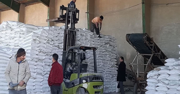 بازرسی و نظارت کارشناسان فنی بر واحدهای تولید کود شرکت های تفاهم نامه ایی در سطح استان تهران