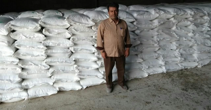 تامین و تدارک و توزیع کودهای پتاسه 3500 تن سالجاری در استان مرکزی