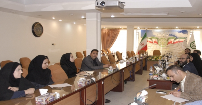 رابطین استانی