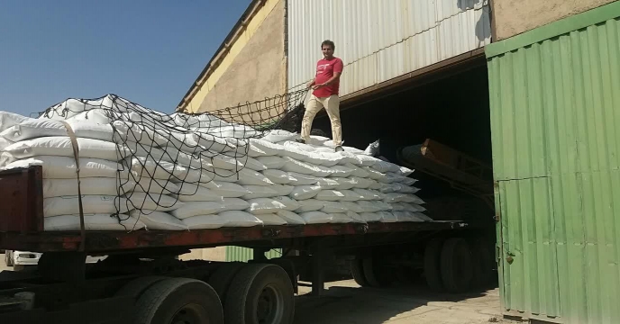 بازدید رییس واحد بازرگانی کود شرکت خدمات حمایتی کشاورزی استان مرکزی از انبار های سازمانی